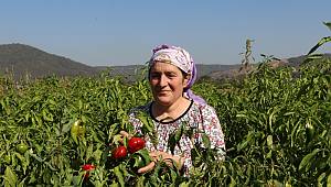 Beykoz’da Kent Tarımı Kadın Çiftçilerle Kalkınıyor