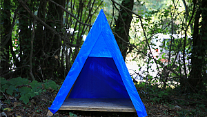 ÇEKMEKÖY 'DE SOKAK HAYVANLARI İÇİN 50 YENİ KULÜBE