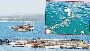 Cennet Koyu oldu cehennem koyu!