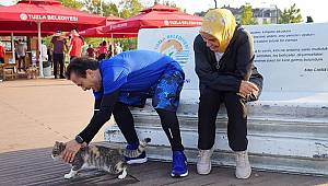 Denize Sıfır Tripleks Villalar, Tek Şart Tuzla’da Yaşamak