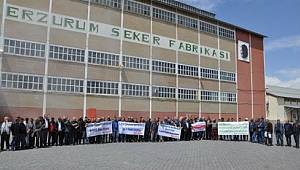 Erzurum'da Şeker Pancarı Çiftçinin Tarlasında Kaldı