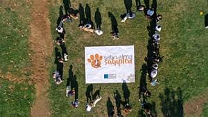 Hayatı Değişen 20 Köpekle 