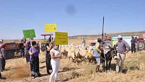 Maden ocağına karşı koyunlu ve eşekli eylem