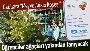 Okullara Meyve Ağacı Köşesi kuruluyor
