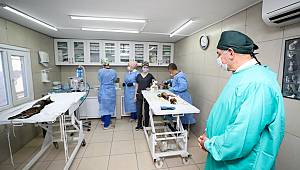 Başkan Yıldırım Hayvan Ameliyathanesini İnceledi