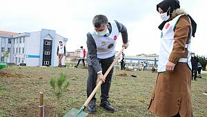 Fidanlar Toprakla Buluştu