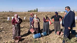 Gürer: “Kadın çiftçilere yıpranma payı ve SGK Prim desteği verilmeli”