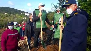 Heybeliada'da yanan ormanlık alana yüzlerce fidan dikildi