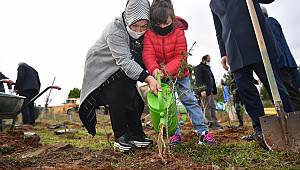 Sancaktepe’de Fidanlar Toprakla Buluştu