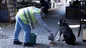 Adana Büyükşehir Belediyesi, altyapı çalışmalarını aralıksız sürdürüyor. 