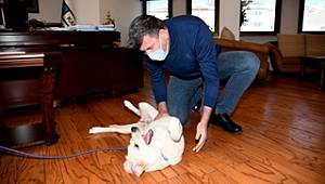 BAK Kadıköy'ün Yeni Üyesi Luna