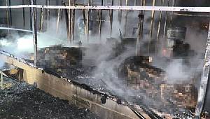 Bursa'da Atatürk Kent Ormanı'ndaki ahır yangını yürek sızlattı: 10 at telef oldu