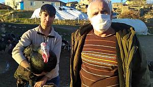 Elazığ'da pandemi ve yasaklar hindiye talebi azalttı