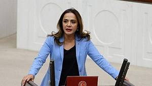 Gamze Akkuş İlgezdi: Hükümlü sayısı 2019'da, 2009 yılına göre yüzde 532 arttı.