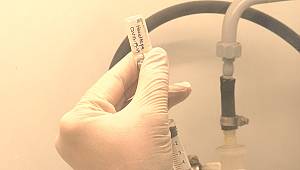 Hacettepe'nin yerli aşısında çalışmalar başarıyla sürüyor