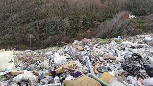 İstanbul'un bilinmeyen çöp dağları! Hayvanların otladığı yerdeki tahribat yürekleri sızlattı