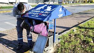 Küçükçekmece'de kısıtlamalarda sokak hayvanları unutulmuyor