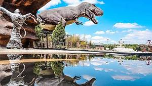 Otobüslerin parası dinozorlara gitmiş