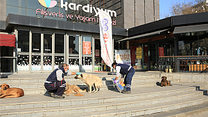 SOKAĞA ÇIKMA YASAKLARINDA SOKAK HAYVANLARINA MAMA DESTEĞİ