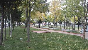 “Yeşil Odaklı Belediyecilik” Anlayışı İle Kartal’da Yeşil Alan Sayısı Artıyor