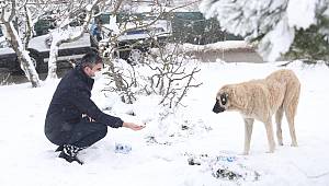 SOKAKTAKİ DOSTLARIMIZ UNUTULMADI