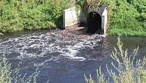 Doğa katliamına CHP'den tepki