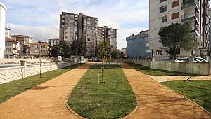 Kartal Artık Daha Yeşil