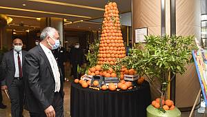 Karnaval dijital, portakal çiçeği kokusu gerçek