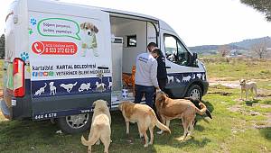 Kartal Belediyesi Kısıtlamada da Sokak Canlarının Yanında