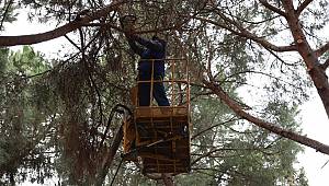  Kartal Belediyesi Park ve Bahçeler Müdürlüğü’nden Yaz Seferberliği