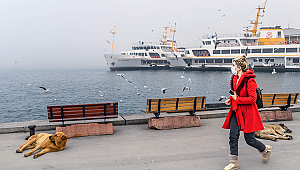 Tam kapanmayla ilgili en çok sorulan sorular