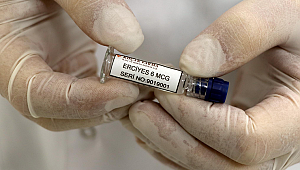 Yerli aşıda yeni aşama