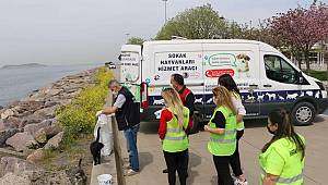 Kartal Belediyesi Tam Kapanma Sürecinde de Sokak Hayvanlarının Yanında