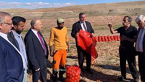 Gürer: “Soğan tarlada kaldı”