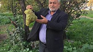 Nevşehir Tanıtım Günleri Rüzgarı Maltepe'de Esecek!..