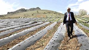 Adana Büyükşehir Belediyesi, çiftçinin, üreticinin yanında olmaya, üretimi desteklemeye devam ediyor.