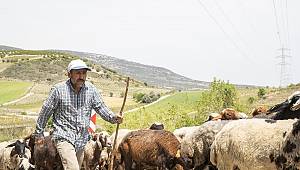 YÖRÜK VATANDAŞLAR ALDIKLARI HİZMETTEN MEMNUN