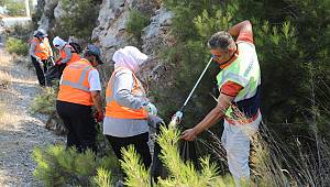 BODRUM, ARAÇLARDAN ATILAN ÇÖPLERDEN ARINDIRILIYOR
