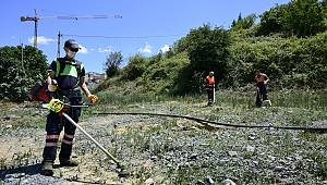 Pendik Belediyesi ekipleri Boş arsa temizliği çalışmasına başladı