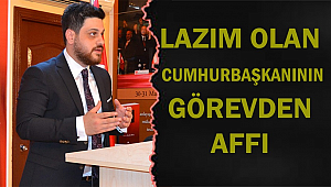 “Lazım olan Cumhurbaşkanının görevden affı”