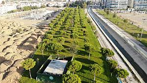 Manisa Büyükşehir Belediyesi Kış Mevsimi Öncesi Yeşil Alanlarda Hummalı Çalışma