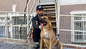 SOKAK KÖPEĞİ İLE TEMİZLİK GÖREVLİSİNİN YÜREKLERİ ISITAN DOSTLUĞU