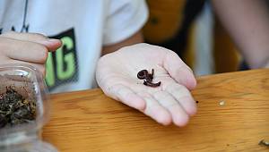 KADIKÖY’DE EKOLOJİK YAŞAM ATÖLYELERİ