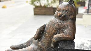 KADIKÖY’ÜN KEDİSİ TOMBİLİ YUVASINA DÖNDÜ