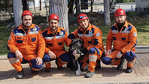 Depremzede köpek ‘Hayat’, yeni hayatlar kurtaracak