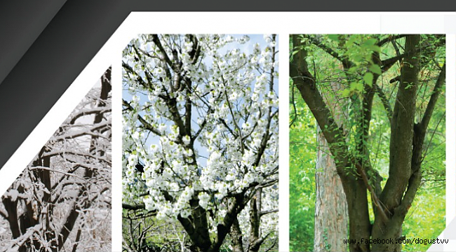 Haftanın son günü hava durumu nasıl olacak?