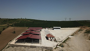 Havza Canlı Hayvan Pazarı Tedbiren Kapatıldı