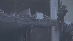 Kediler mahsur kalmıştı. Diyarbakır'da Galeria İş Merkezi’nde helikopter destekli kedi kurtarma operasyonu