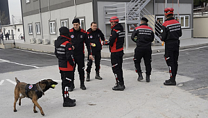 Maltepe Belediyesi deprem bölgesine ilk ulaşan ekip oldu