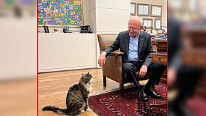 Kılıçdaroğlu'ndan Bir Söz De 'Şero'ya Geldi